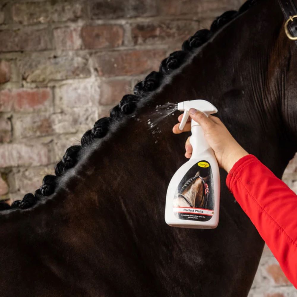 Smart Grooming Plaiting Spray