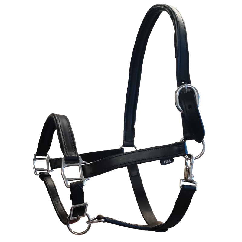 Padded Leather Headcollar