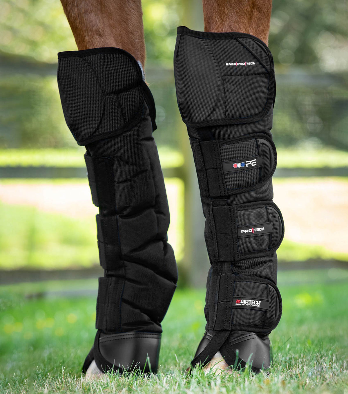 Ballistic Knee Pro-Tech Horse Travel Boots