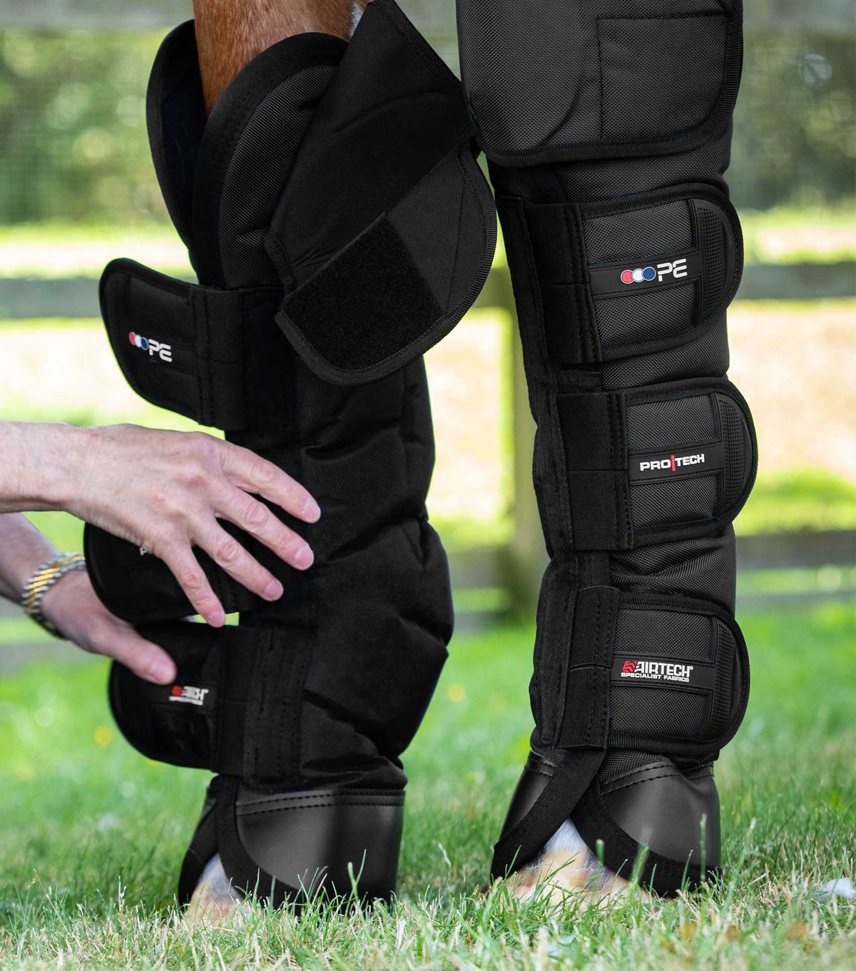 Ballistic Knee Pro-Tech Horse Travel Boots