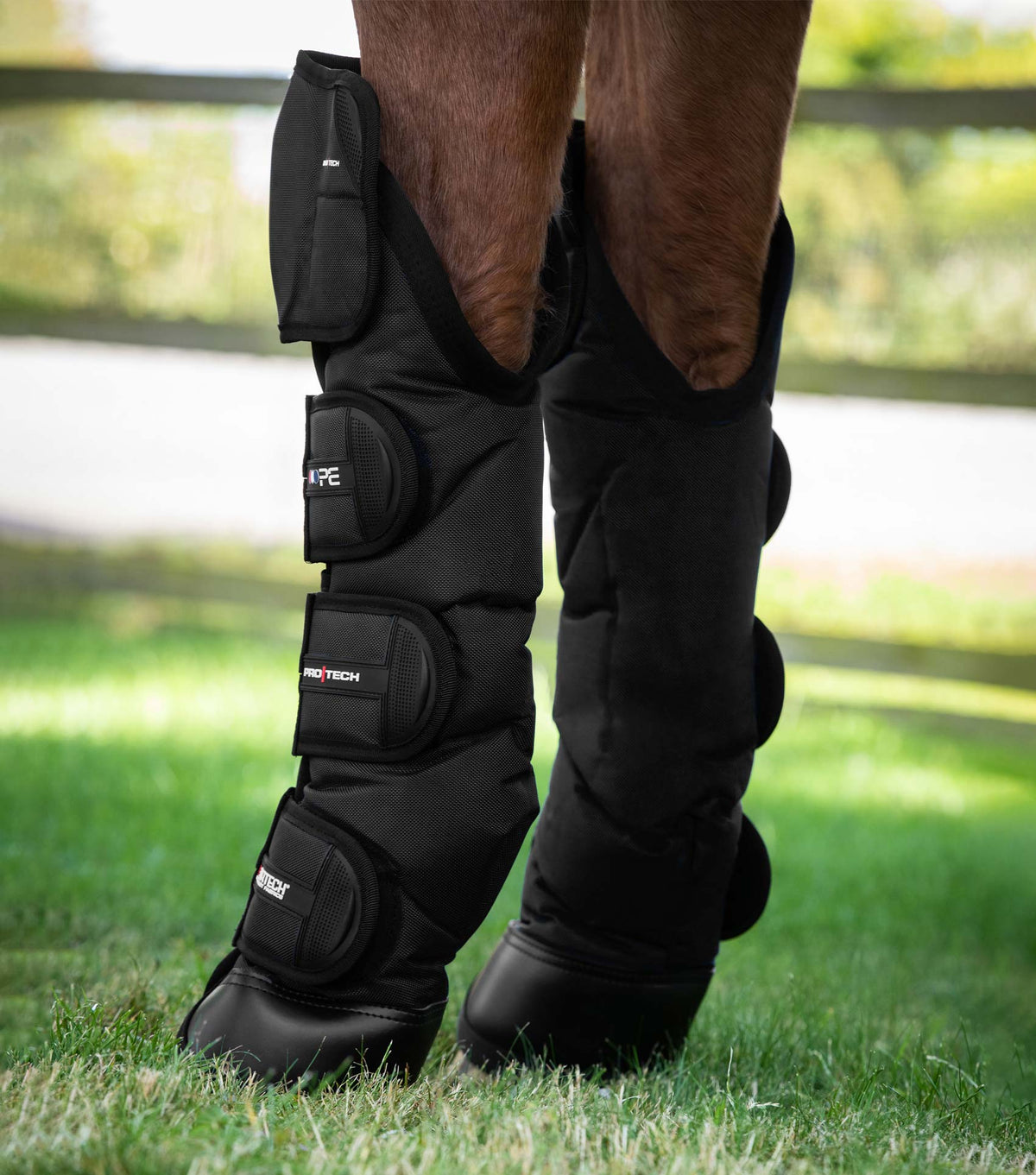 Ballistic Knee Pro-Tech Horse Travel Boots