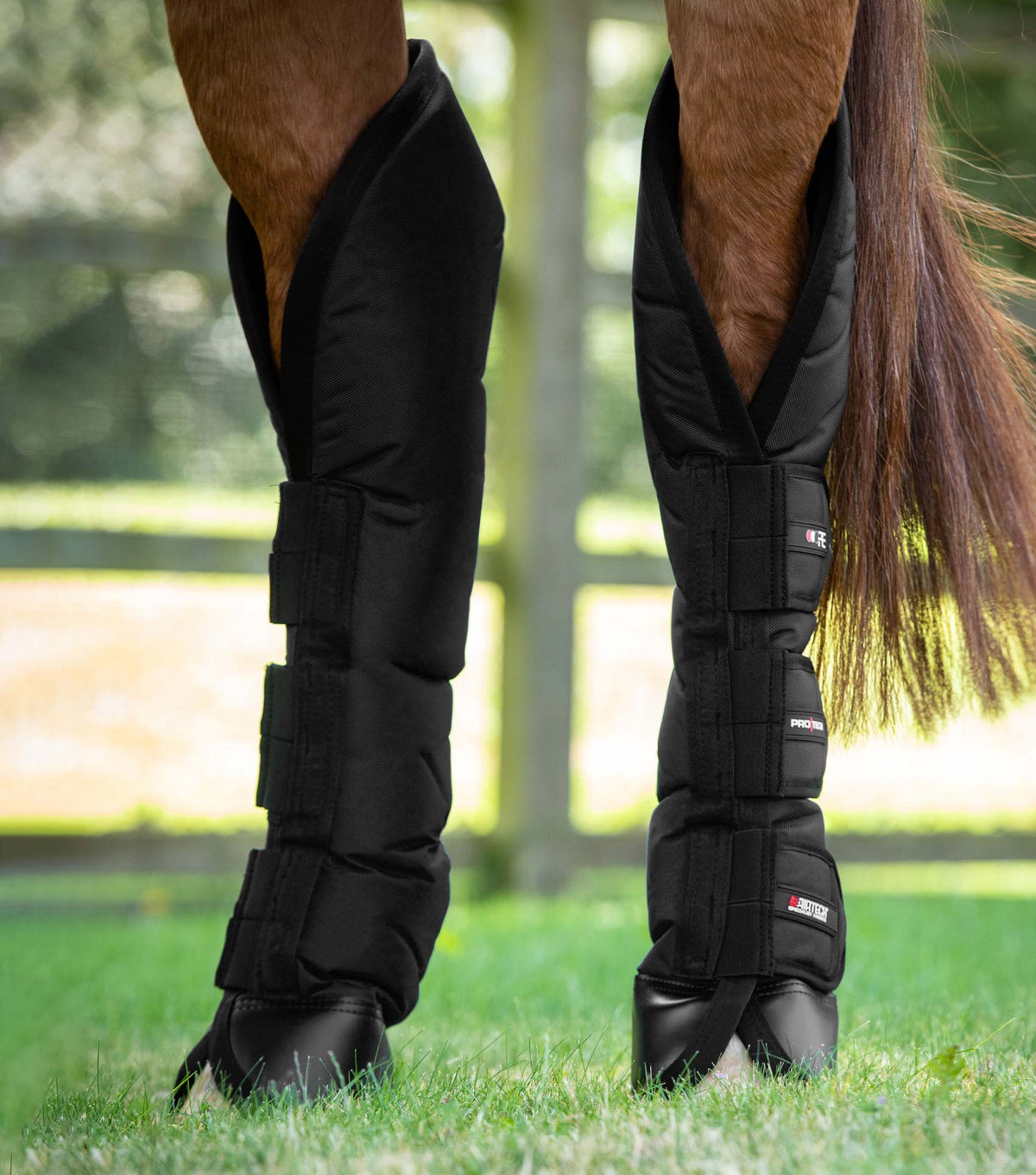 Ballistic Knee Pro-Tech Horse Travel Boots
