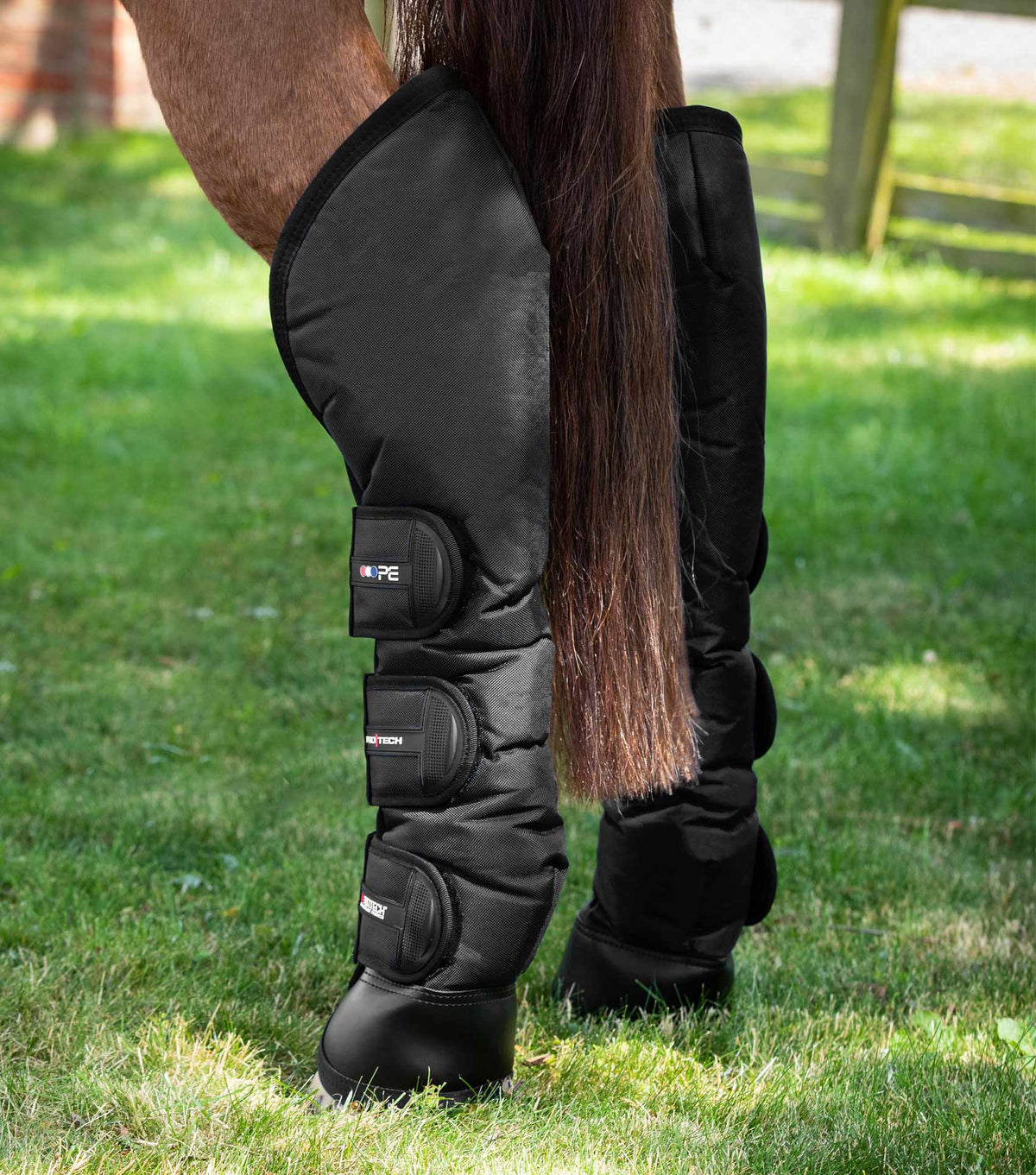 Ballistic Knee Pro-Tech Horse Travel Boots