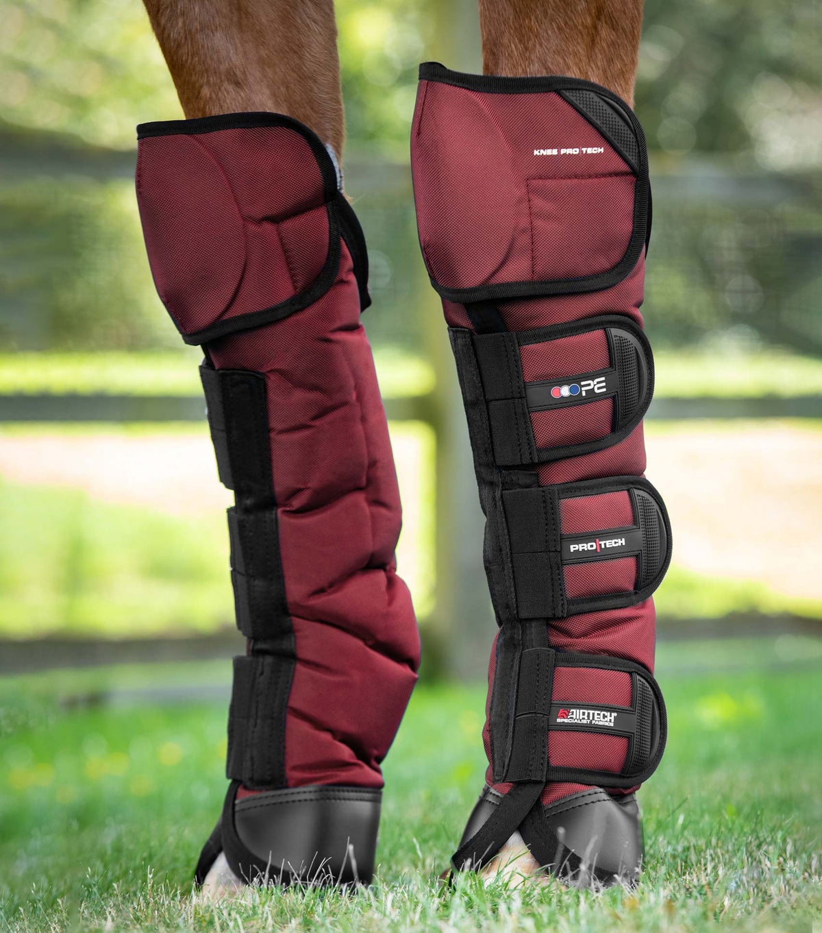 Ballistic Knee Pro-Tech Horse Travel Boots