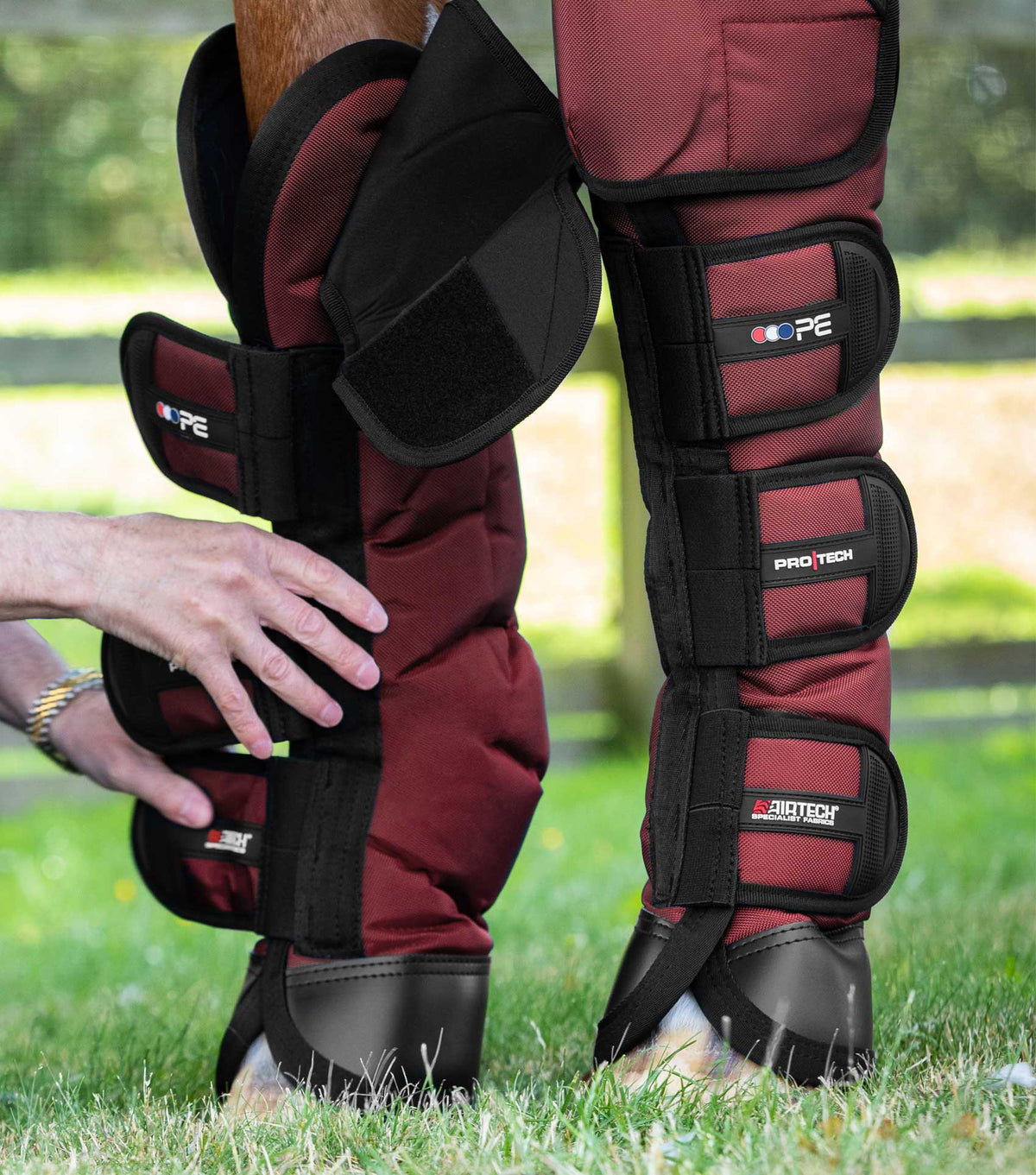 Ballistic Knee Pro-Tech Horse Travel Boots