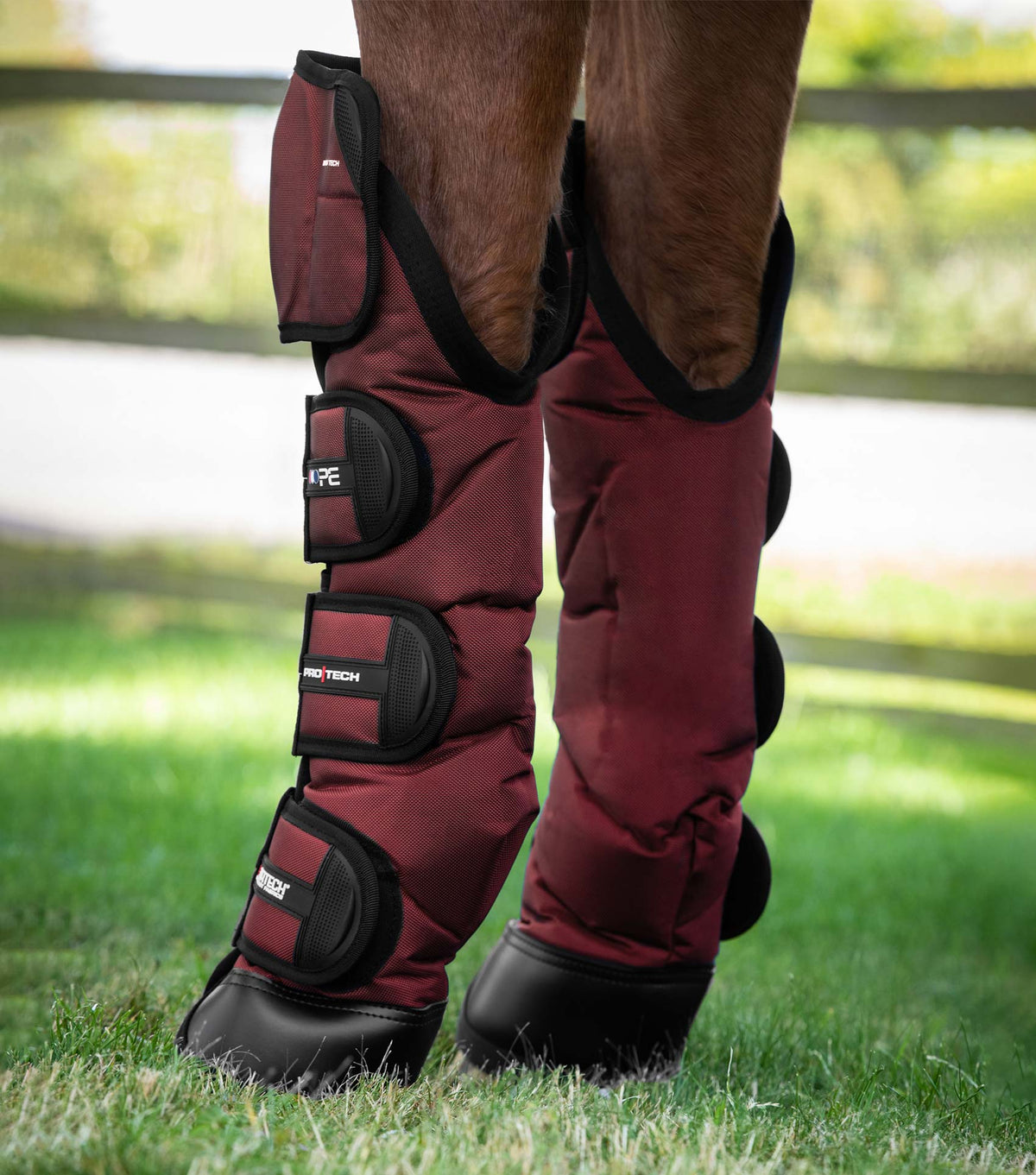 Ballistic Knee Pro-Tech Horse Travel Boots