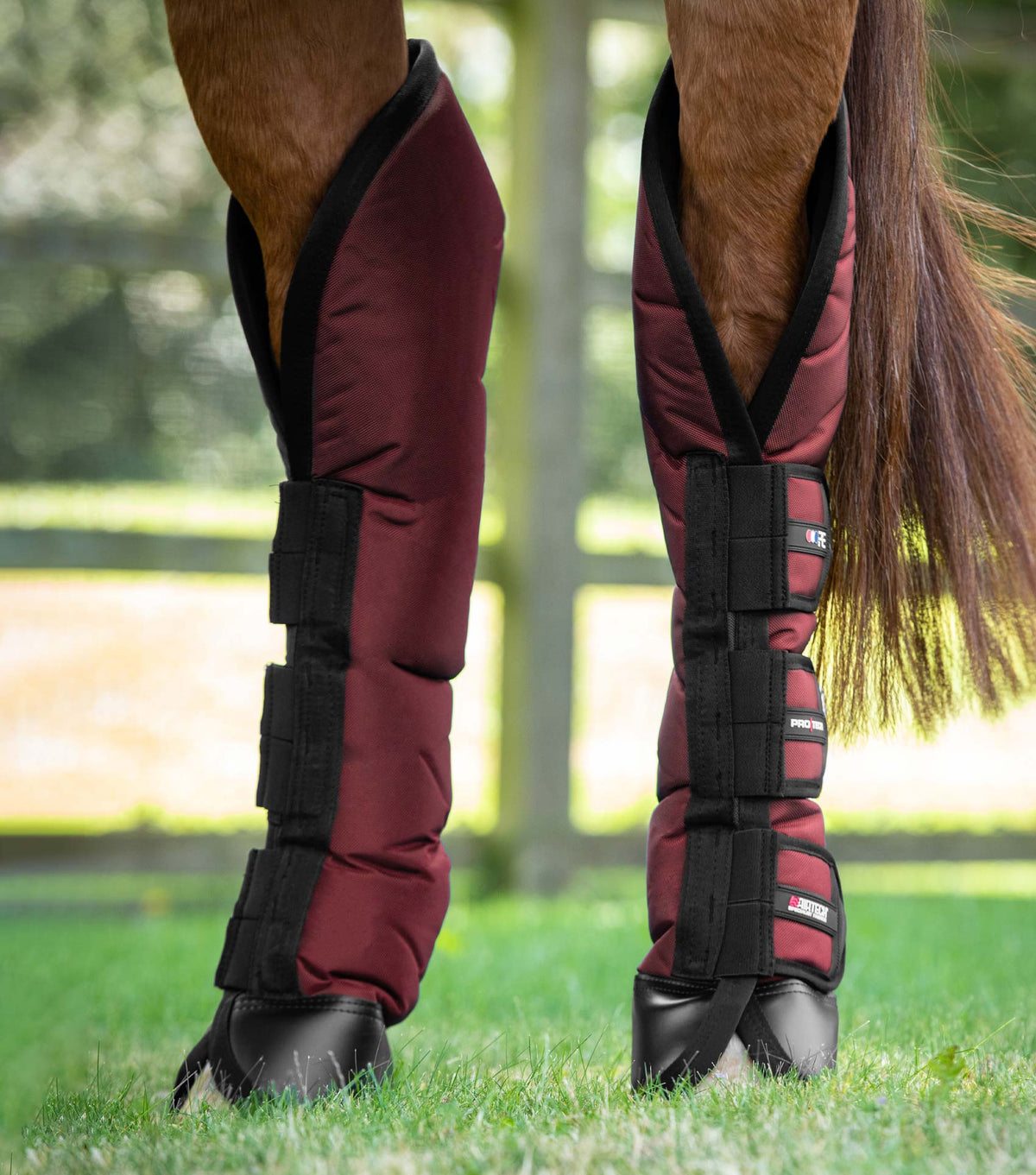 Ballistic Knee Pro-Tech Horse Travel Boots