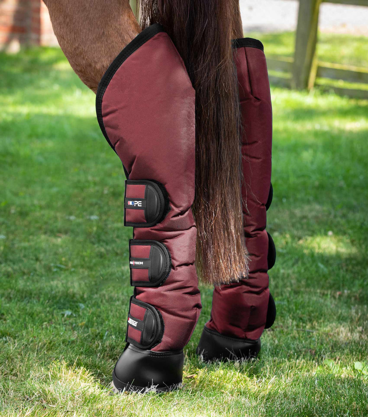Ballistic Knee Pro-Tech Horse Travel Boots