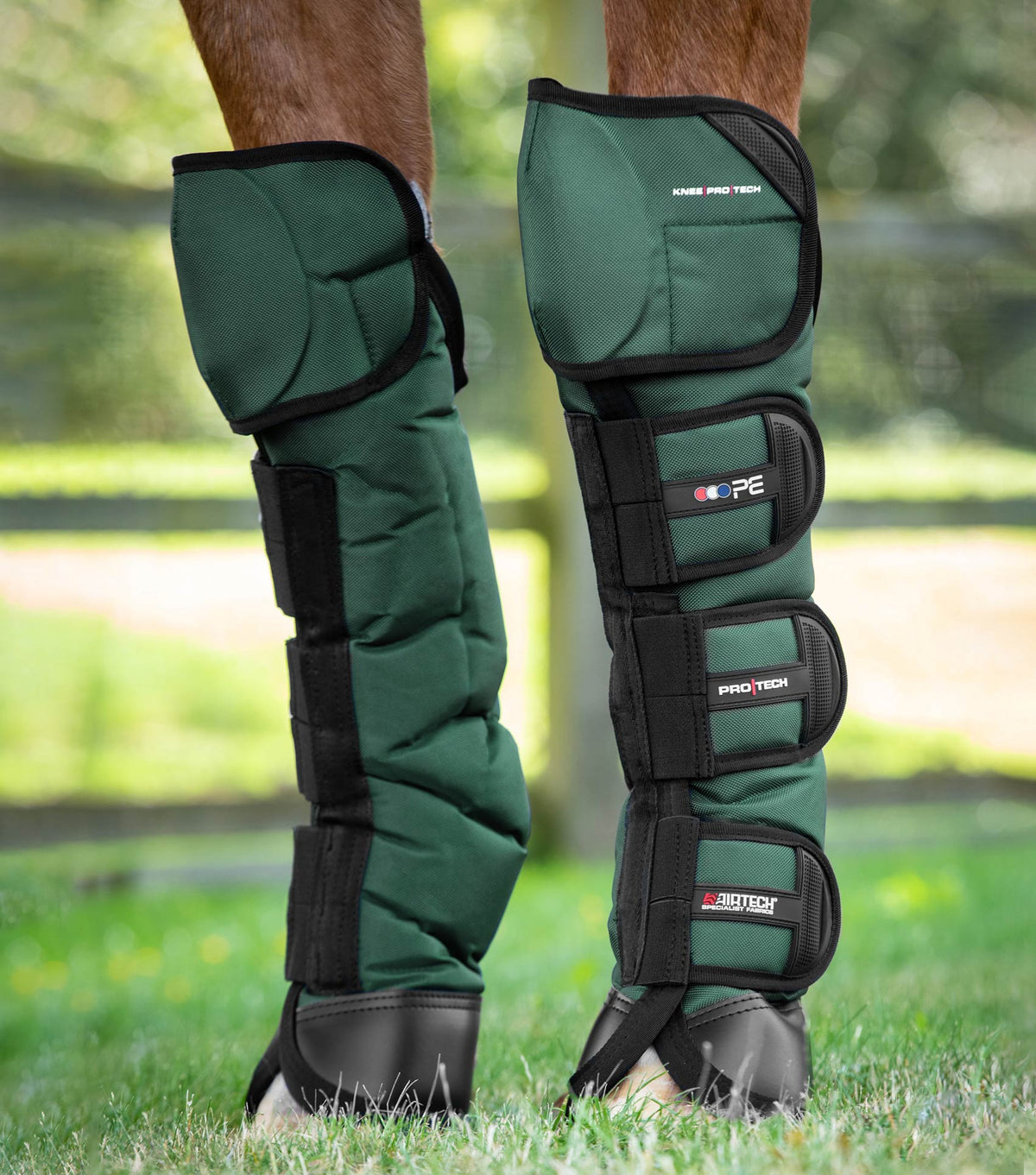 Ballistic Knee Pro-Tech Horse Travel Boots
