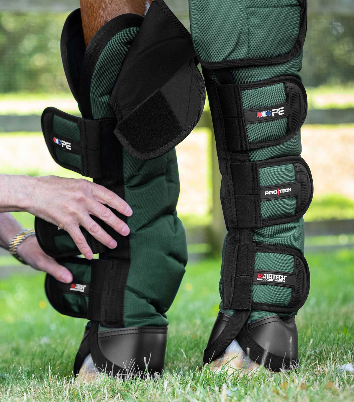 Ballistic Knee Pro-Tech Horse Travel Boots