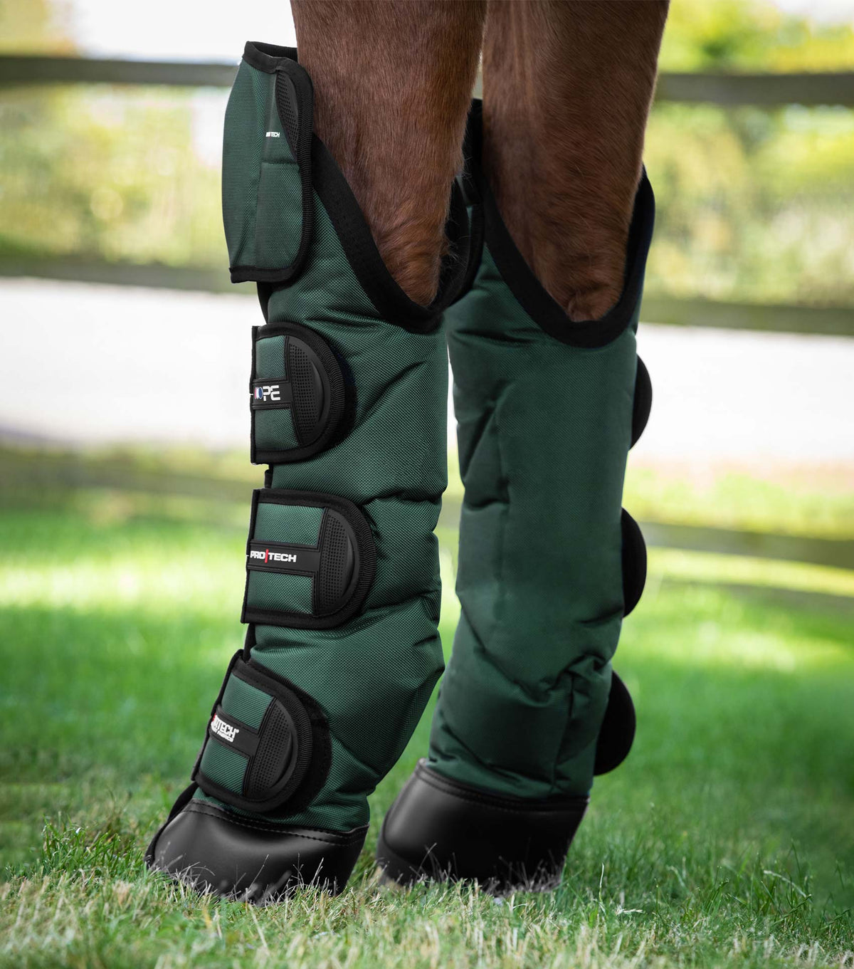 Ballistic Knee Pro-Tech Horse Travel Boots
