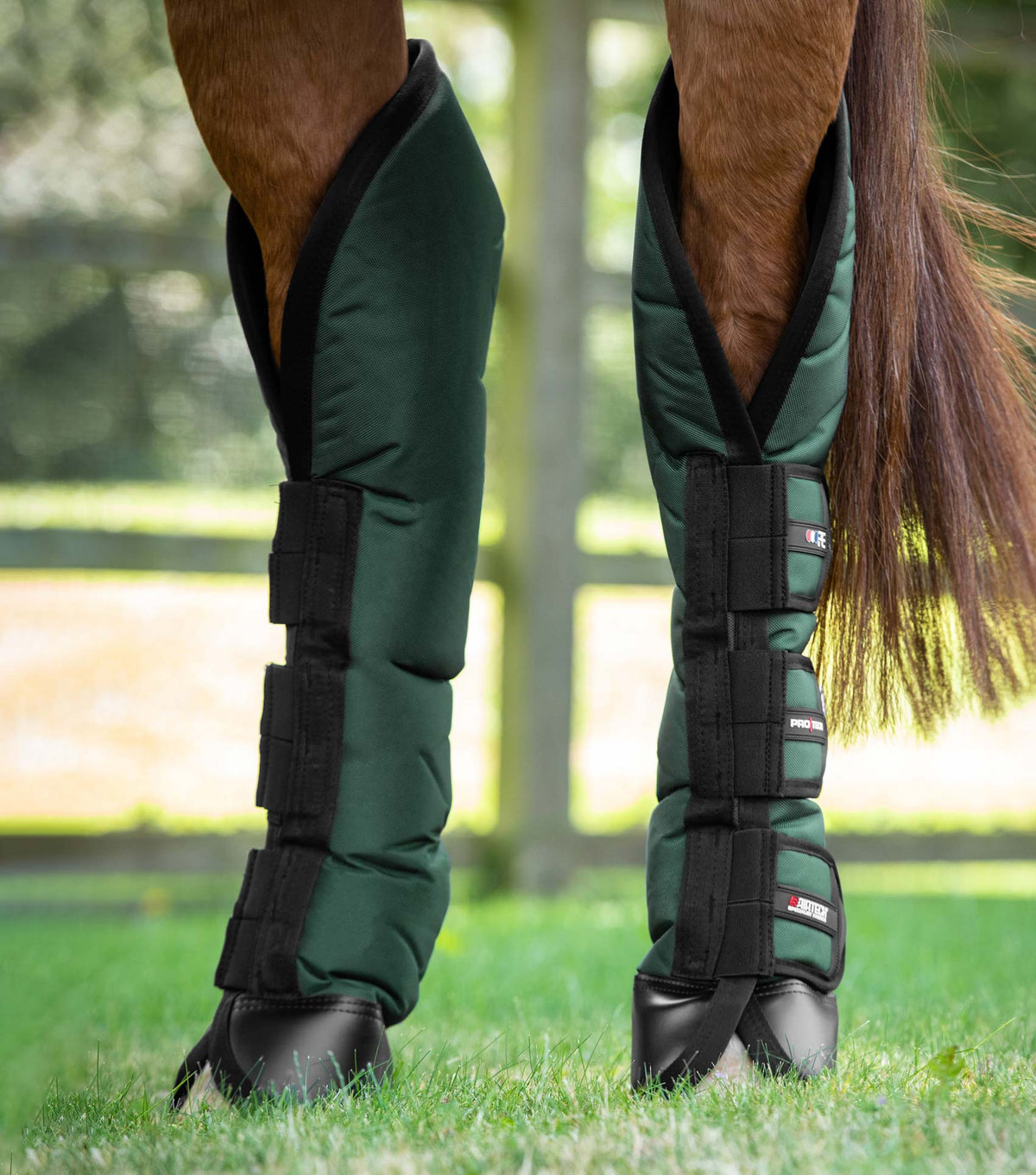 Ballistic Knee Pro-Tech Horse Travel Boots