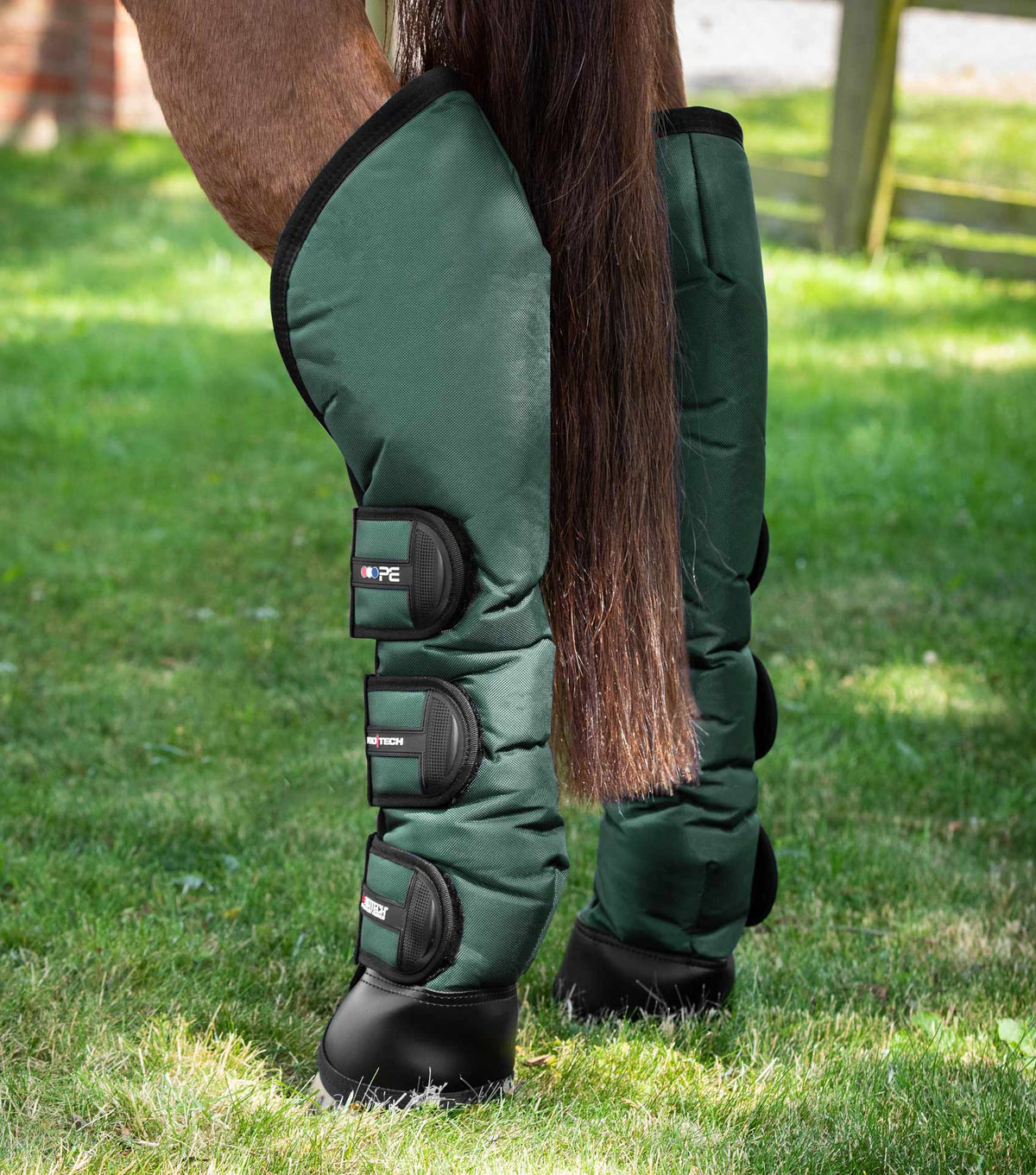 Ballistic Knee Pro-Tech Horse Travel Boots