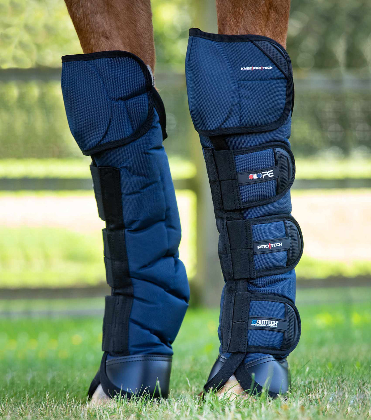 Ballistic Knee Pro-Tech Horse Travel Boots