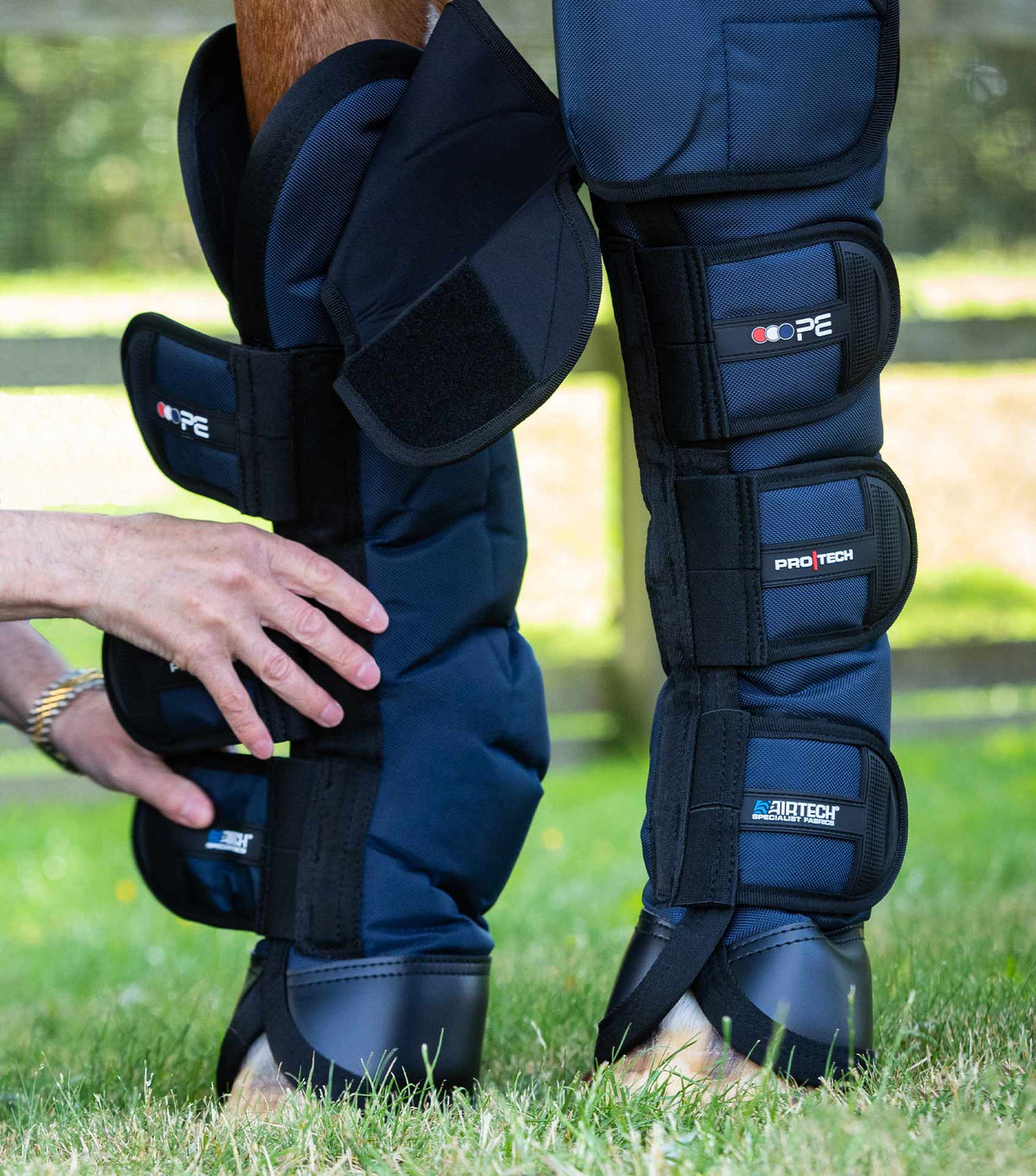 Ballistic Knee Pro-Tech Horse Travel Boots