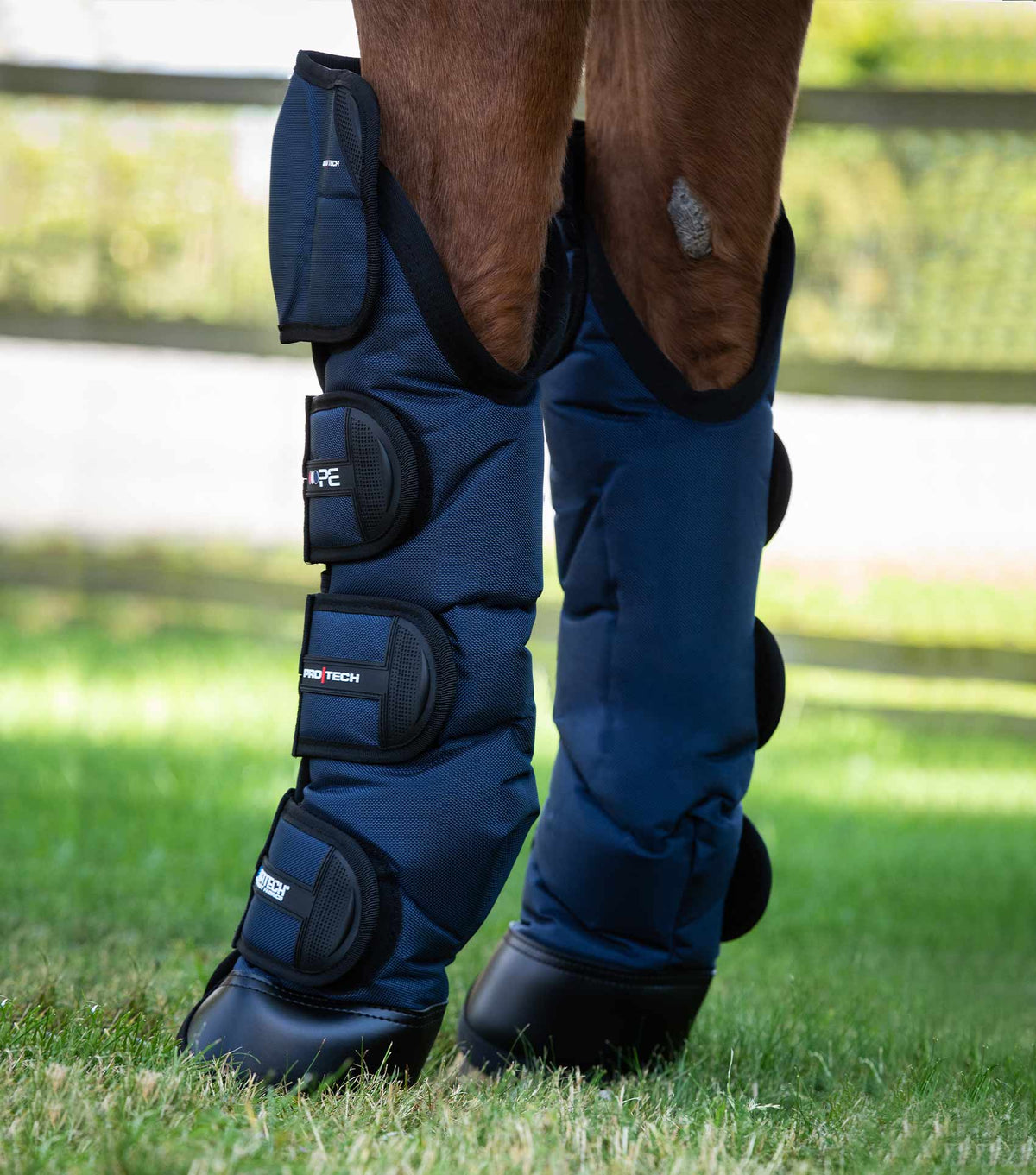 Ballistic Knee Pro-Tech Horse Travel Boots