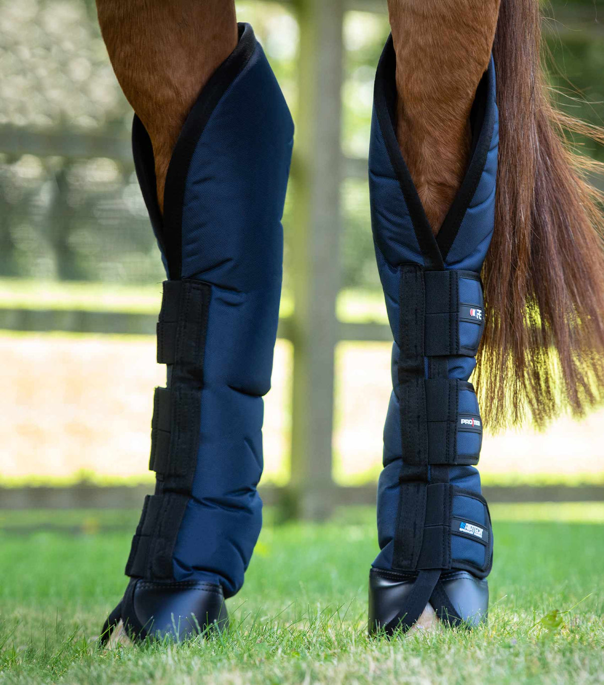 Ballistic Knee Pro-Tech Horse Travel Boots