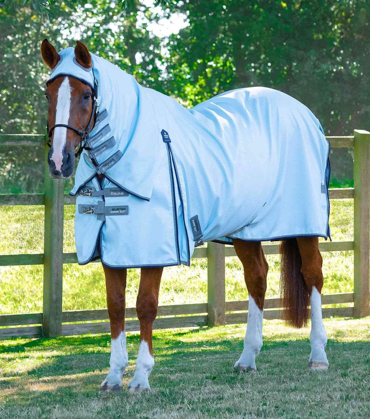 Buster Sweet Itch Fly Rug with Surcingles