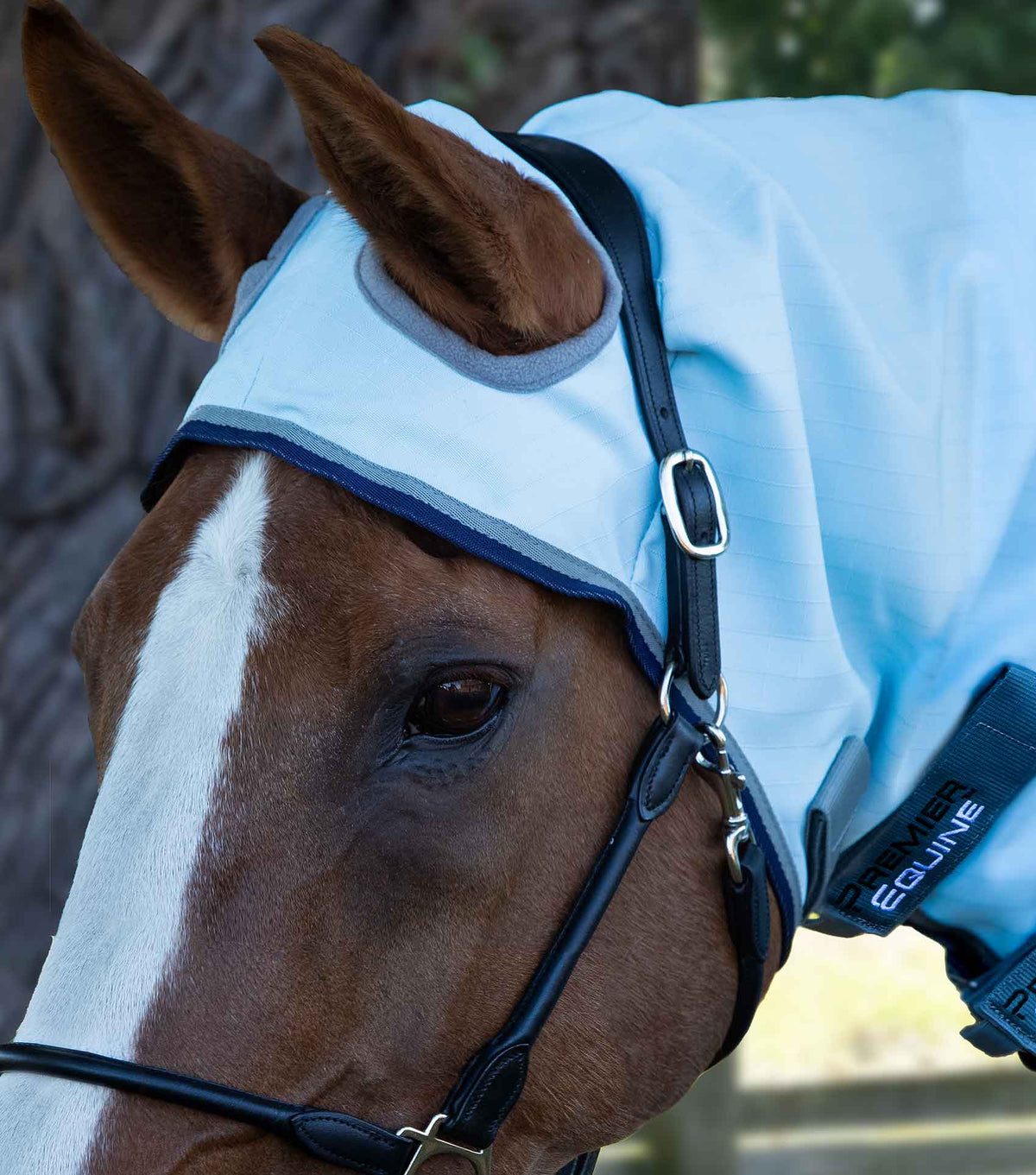 Buster Sweet Itch Fly Rug with Surcingles