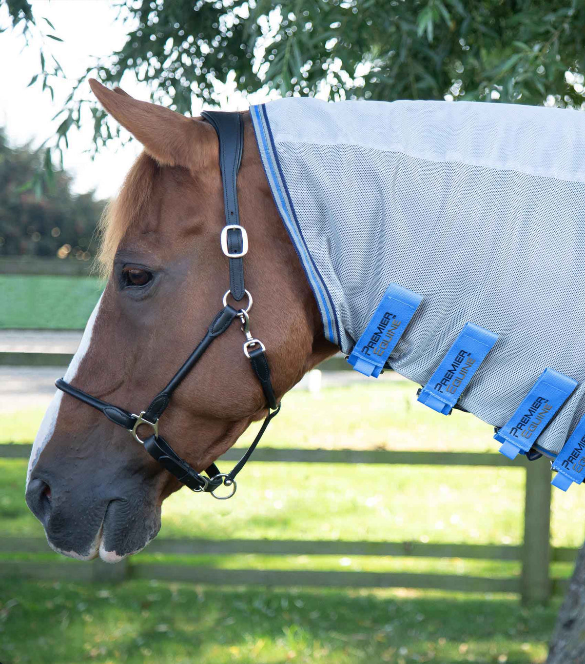 Combo Mesh Air Fly Rug with Surcingles