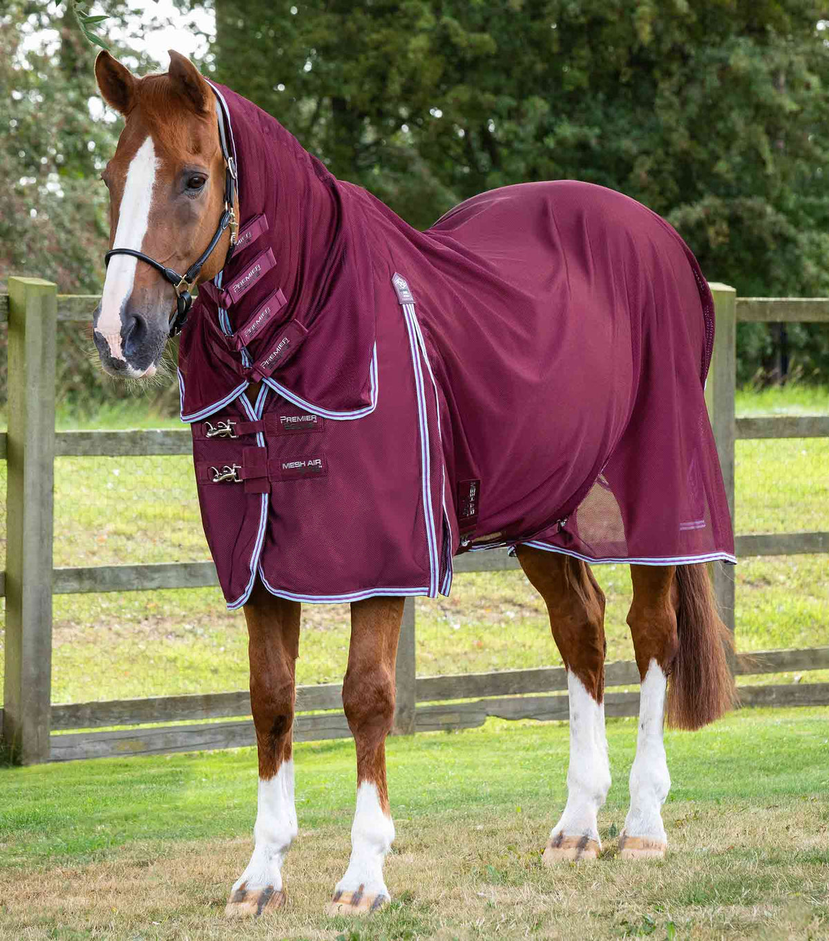 Combo Mesh Air Fly Rug with Surcingles