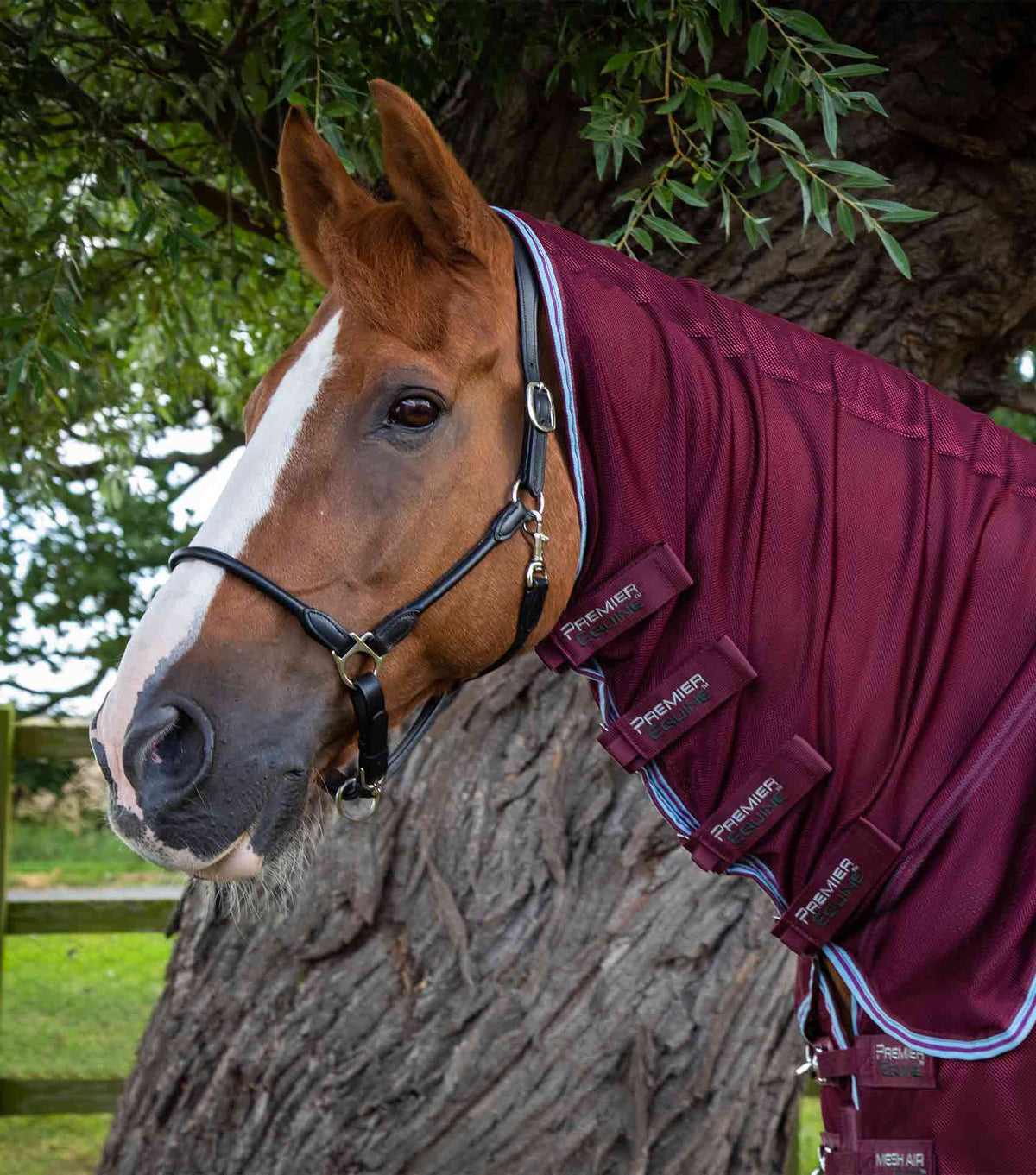 Combo Mesh Air Fly Rug with Surcingles