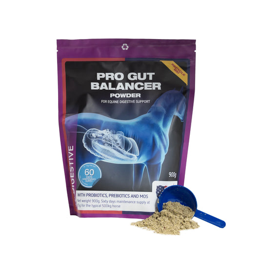 Equine America Pro Gut Balancer 900g