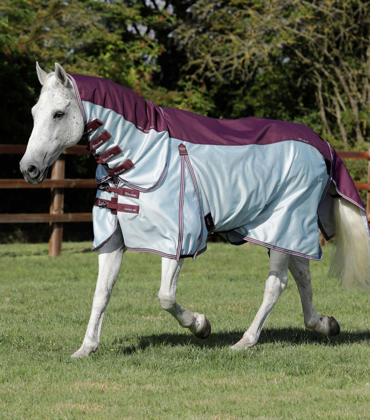 Stay-Dry Mesh Air Fly Rug with Surcingles