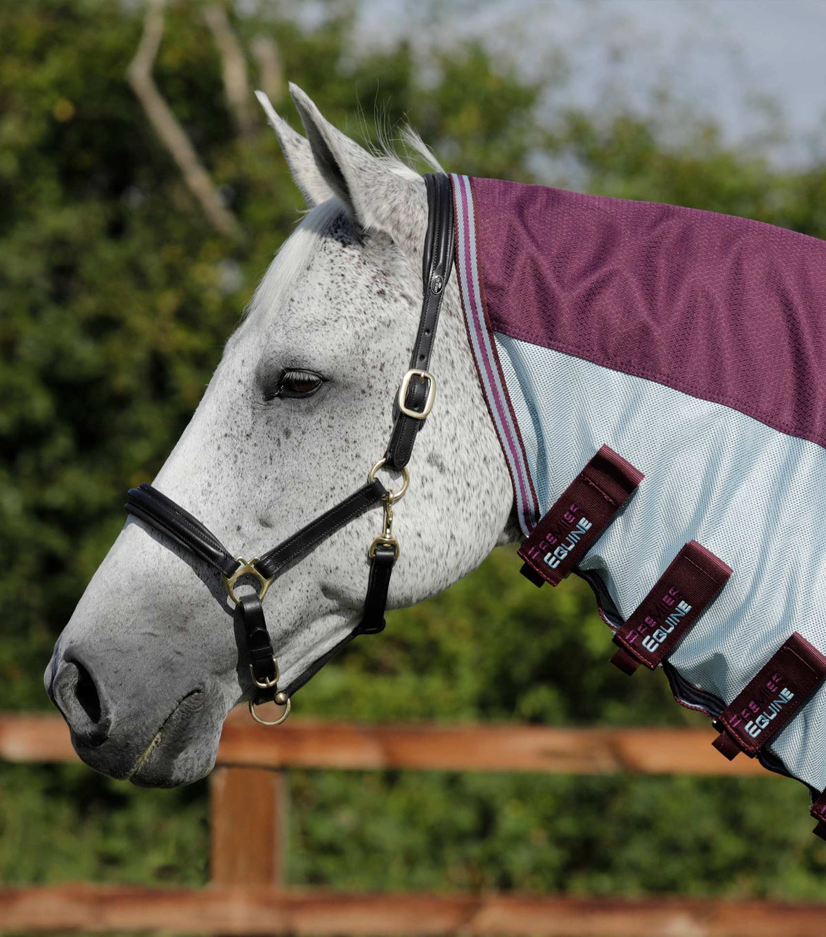 Stay-Dry Mesh Air Fly Rug with Surcingles