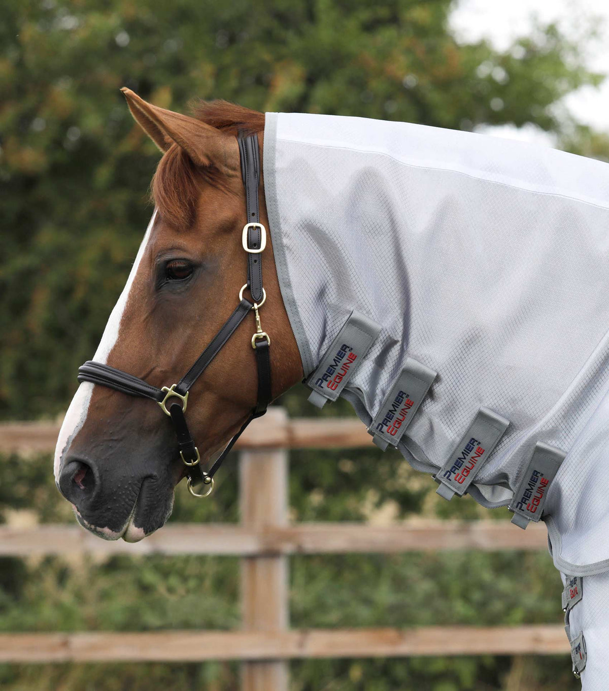 Super Lite Fly Rug with Surcingles