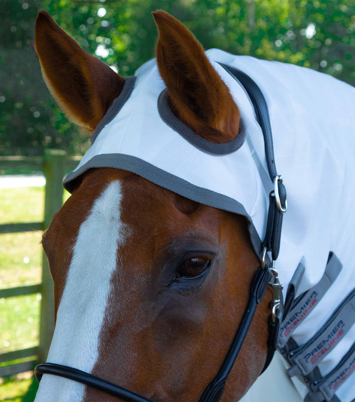 Sweet Itch Buster Fly Rug with Belly Flap