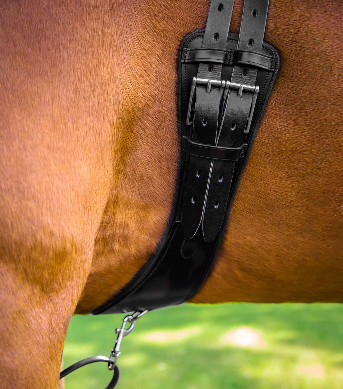 Tamarro Anatomic Leather Girth