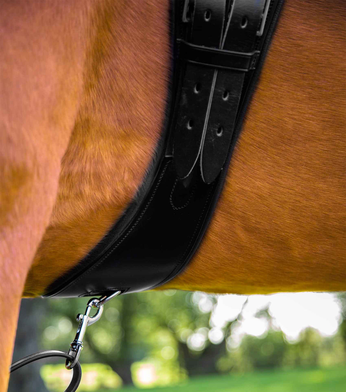 Tamarro Anatomic Leather Girth