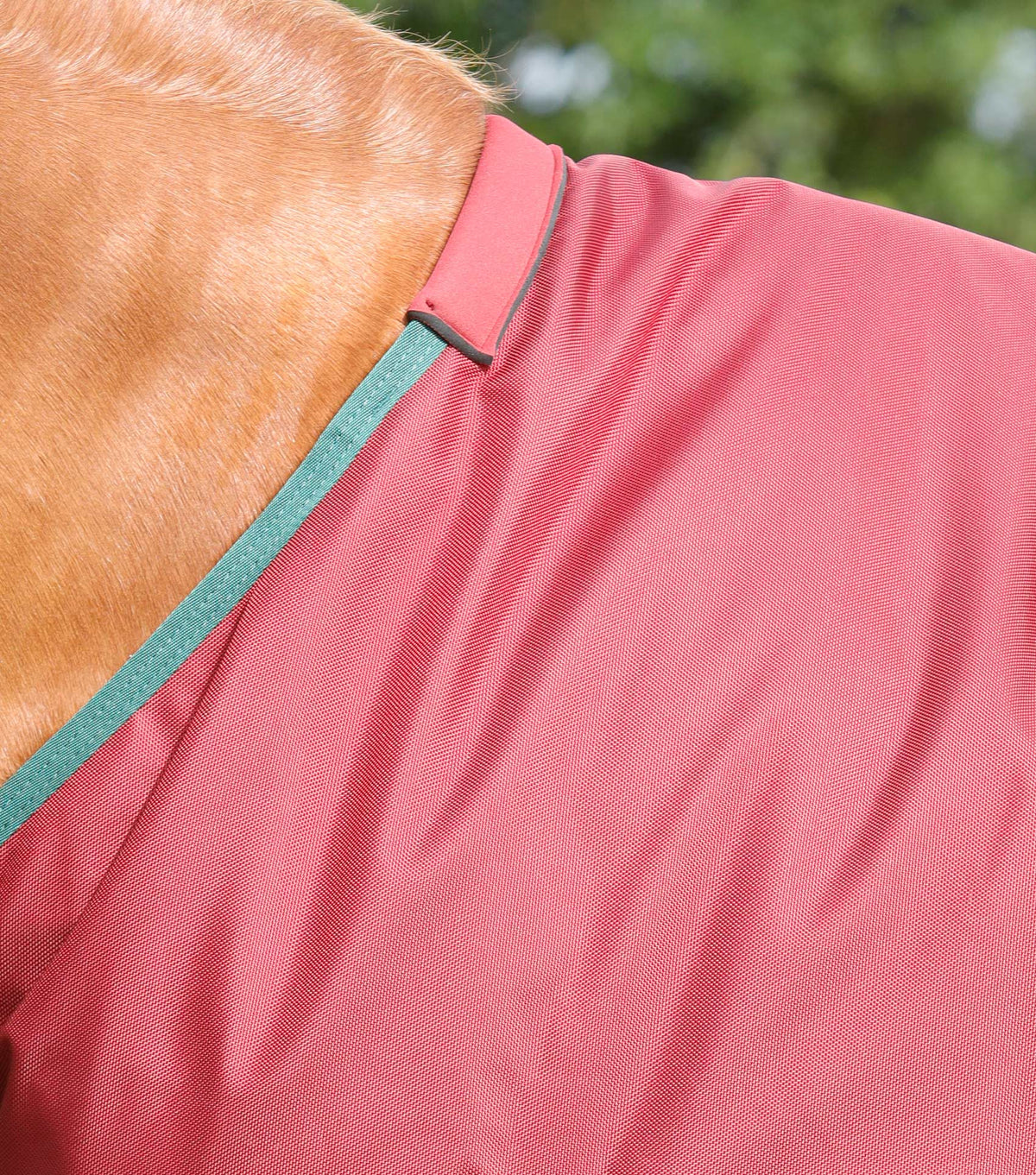 Titan 100g Original Turnout Rug