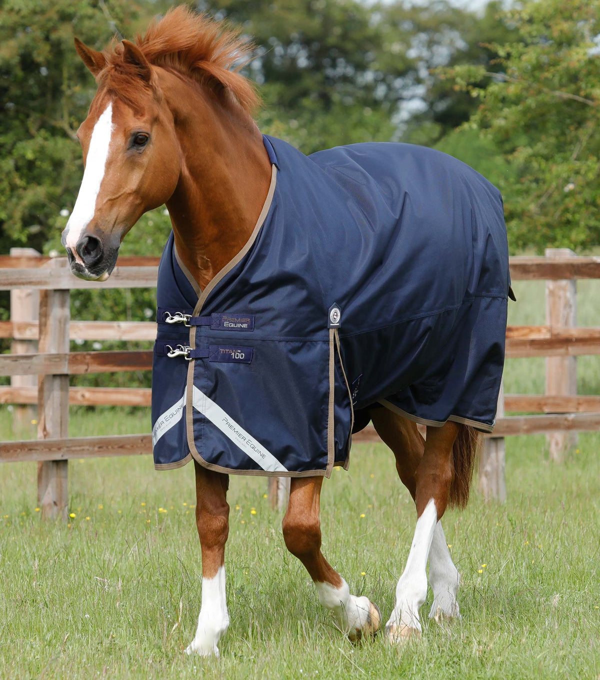 Titan 100g Original Turnout Rug