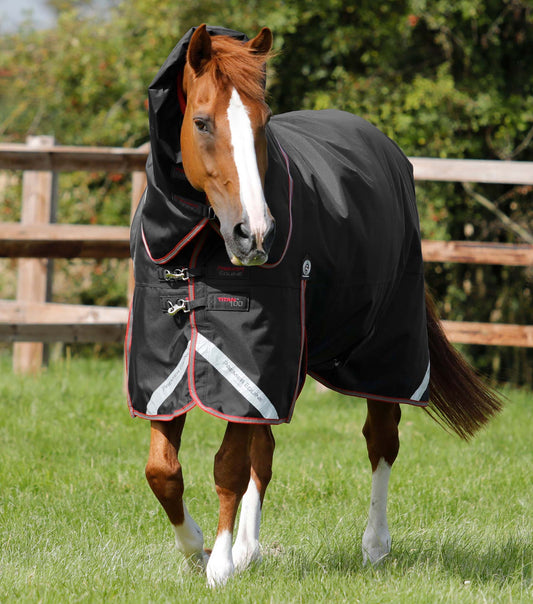 Titan 100g Turnout Rug with Snug-Fit Neck Cover