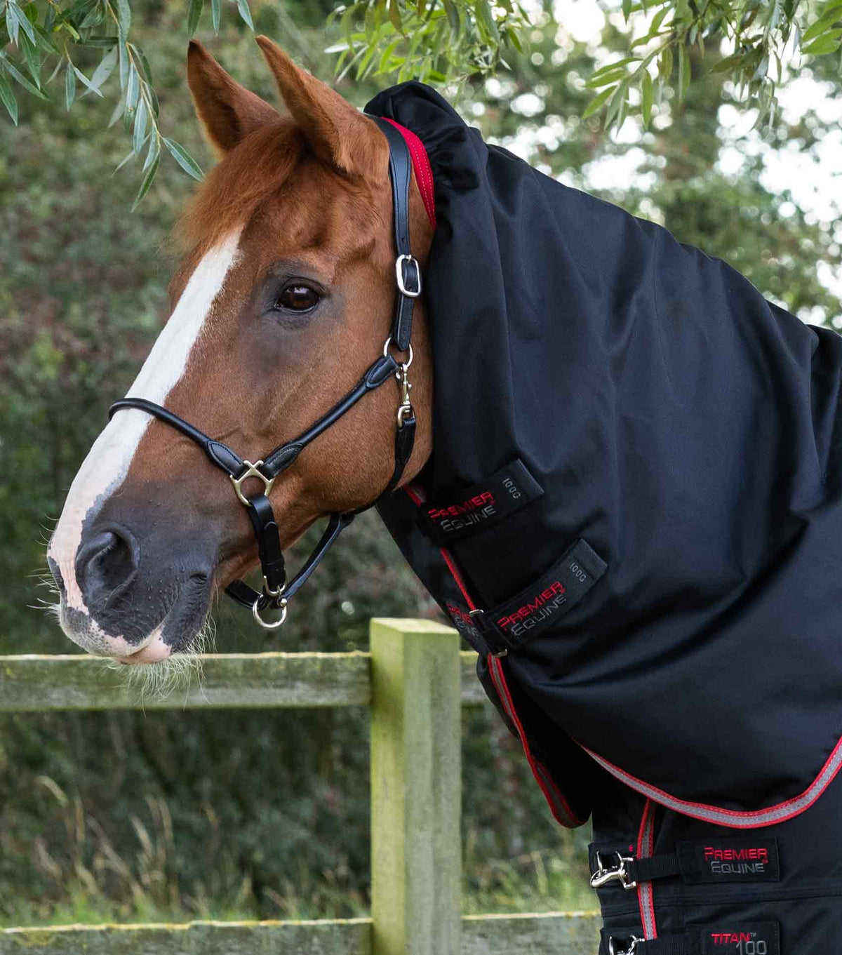 Titan 100g Turnout Rug with Snug-Fit Neck Cover