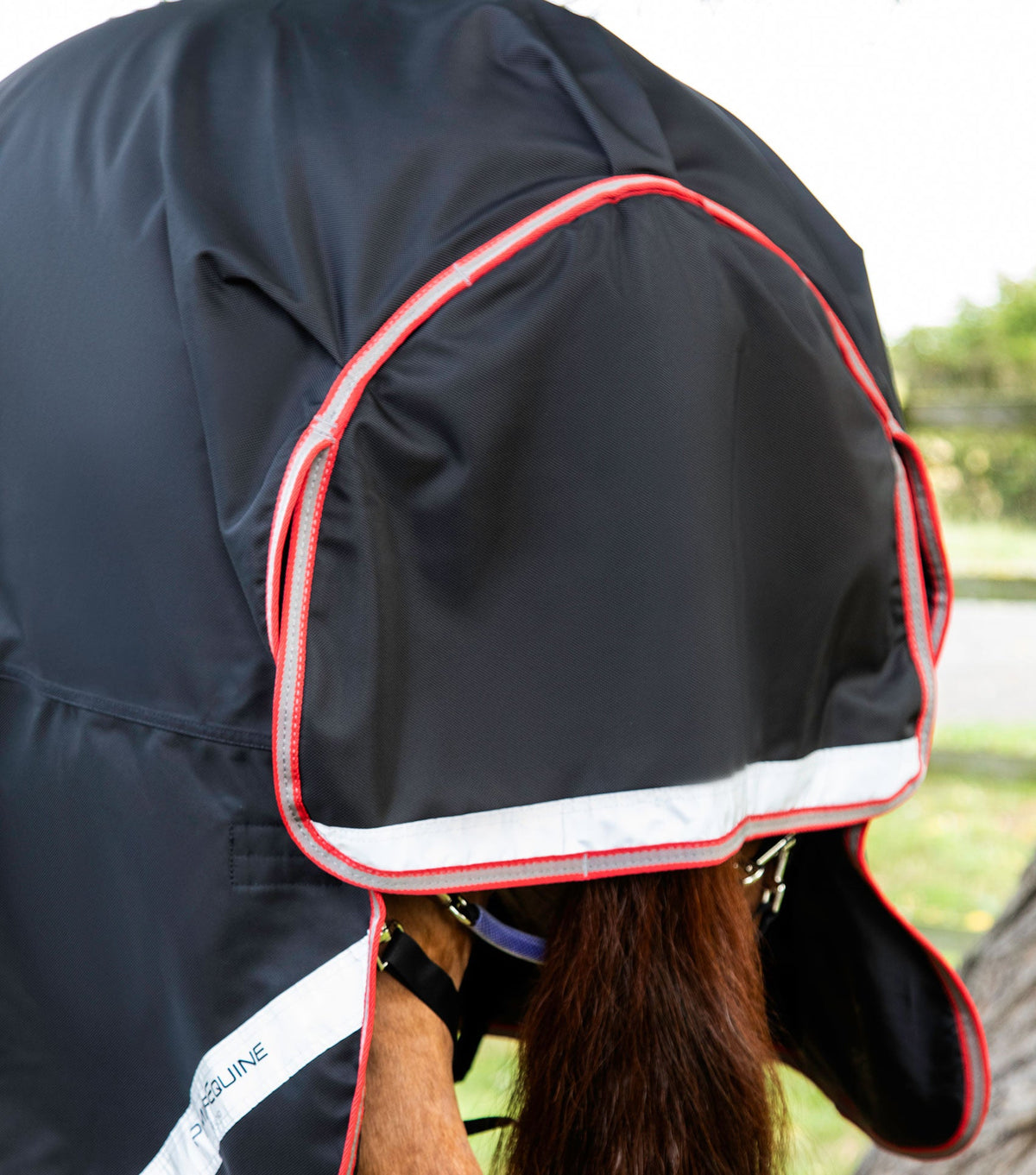 Titan 100g Turnout Rug with Snug-Fit Neck Cover