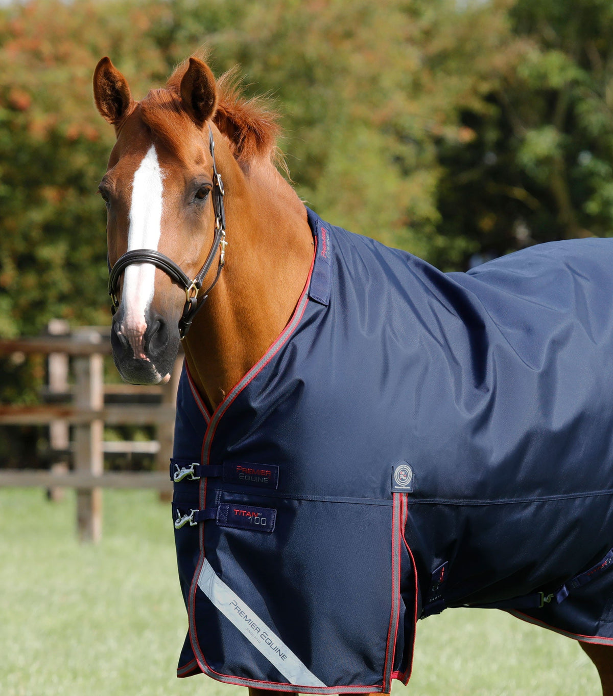 Titan 100g Turnout Rug with Snug-Fit Neck Cover