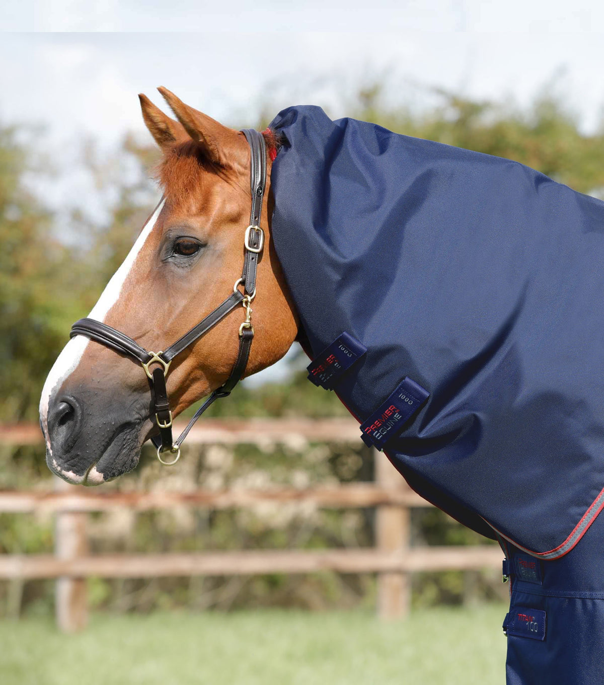 Titan 100g Turnout Rug with Snug-Fit Neck Cover