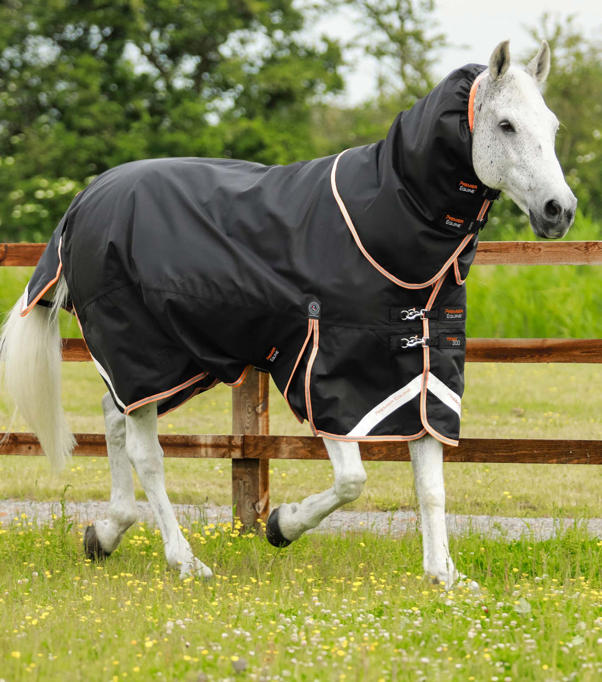 Titan 300g Turnout Rug with Snug-Fit Neck Cover