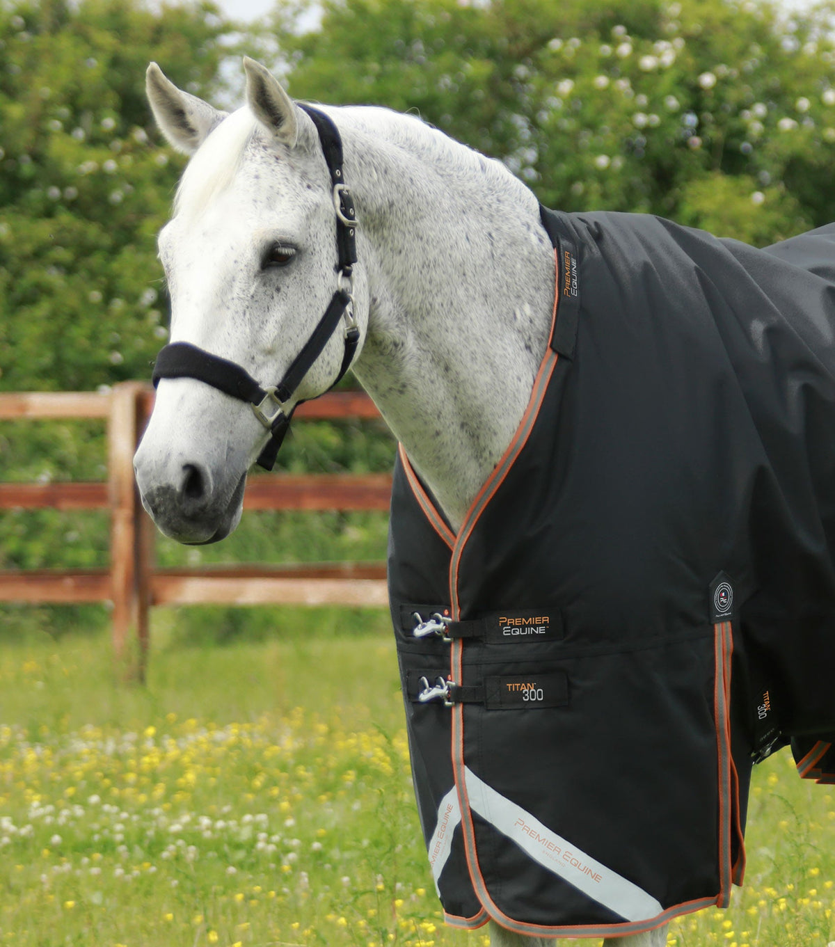 Titan 300g Turnout Rug with Snug-Fit Neck Cover