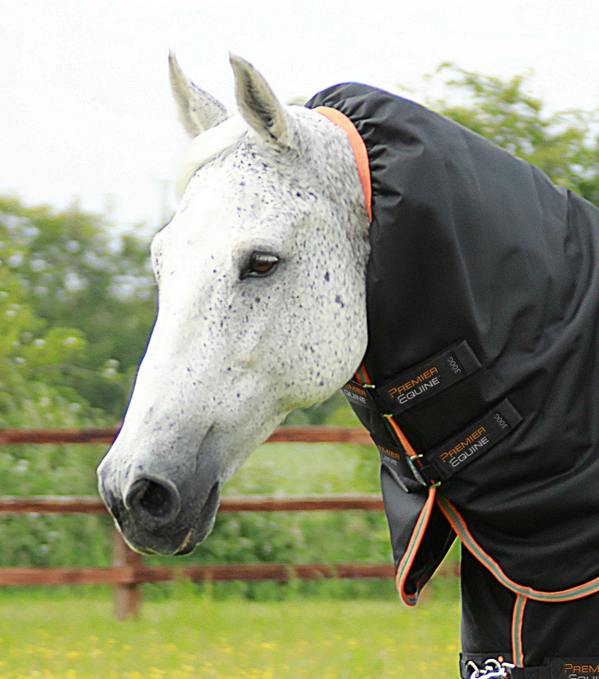 Titan 300g Turnout Rug with Snug-Fit Neck Cover