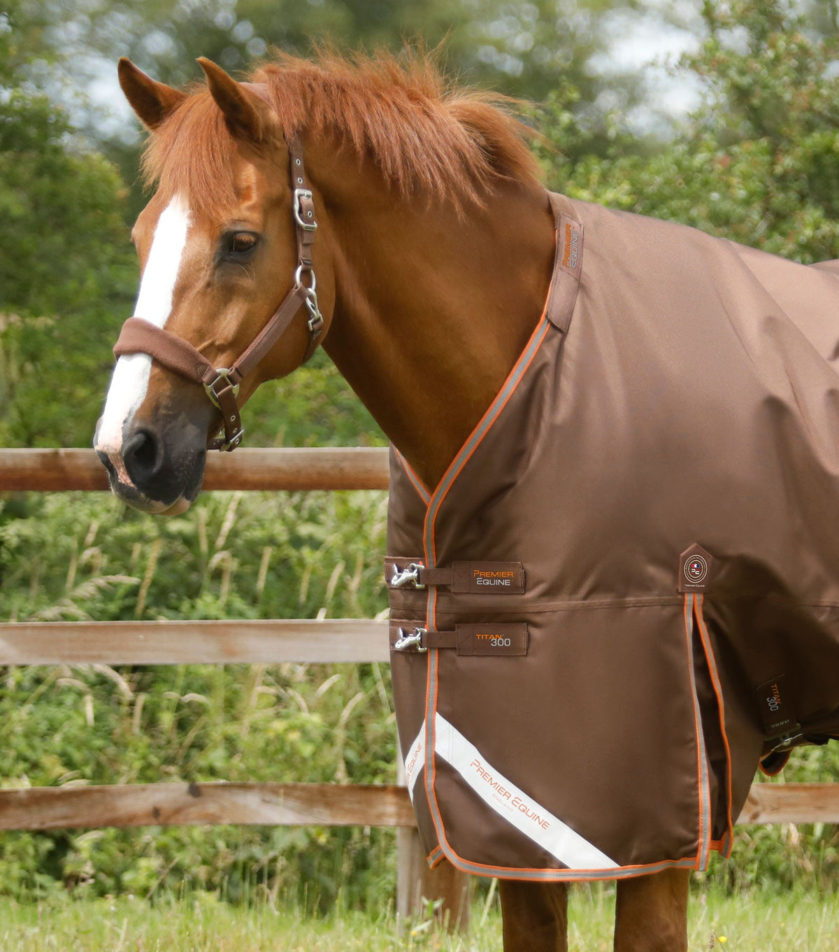 Titan 300g Turnout Rug with Snug-Fit Neck Cover