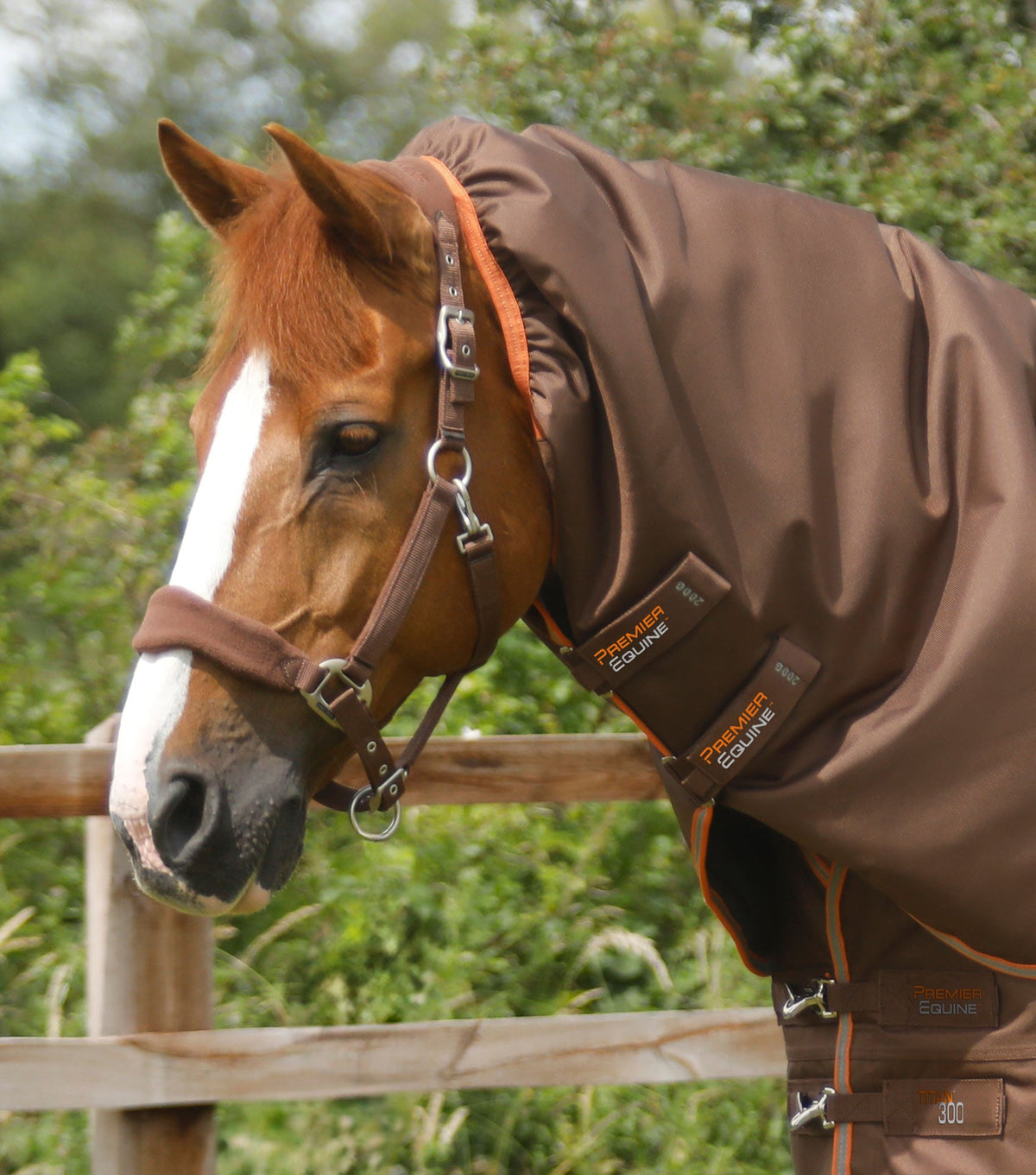 Titan 300g Turnout Rug with Snug-Fit Neck Cover