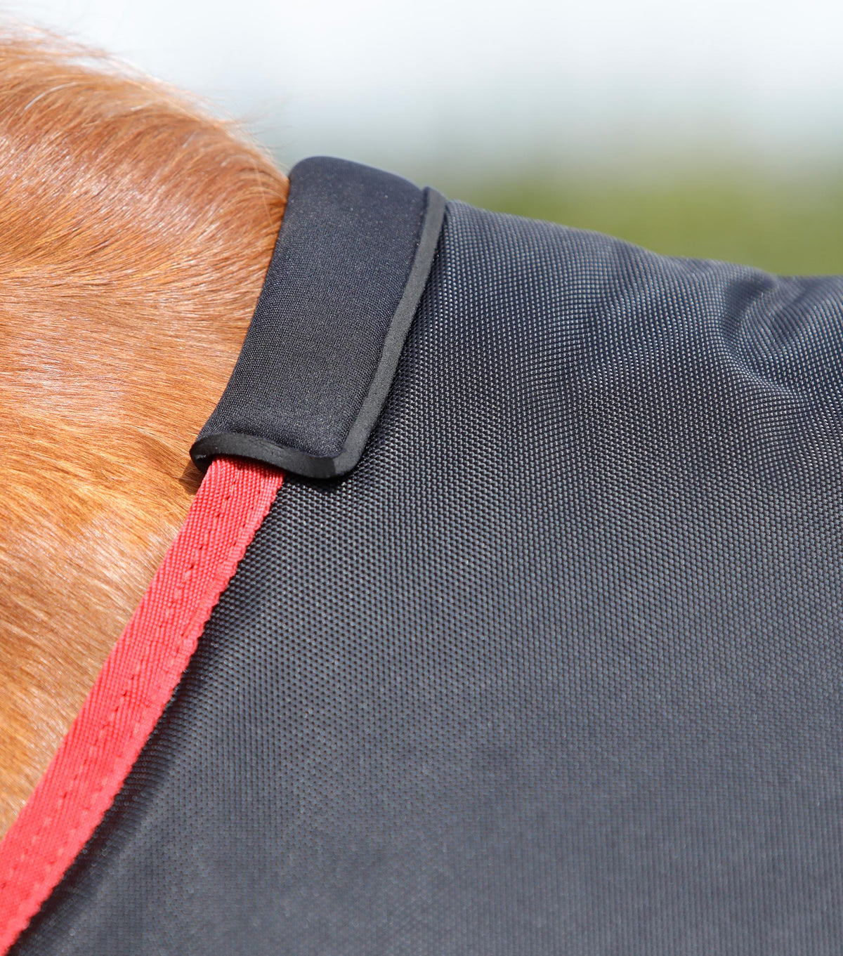 Titan 450g Original Turnout Rug
