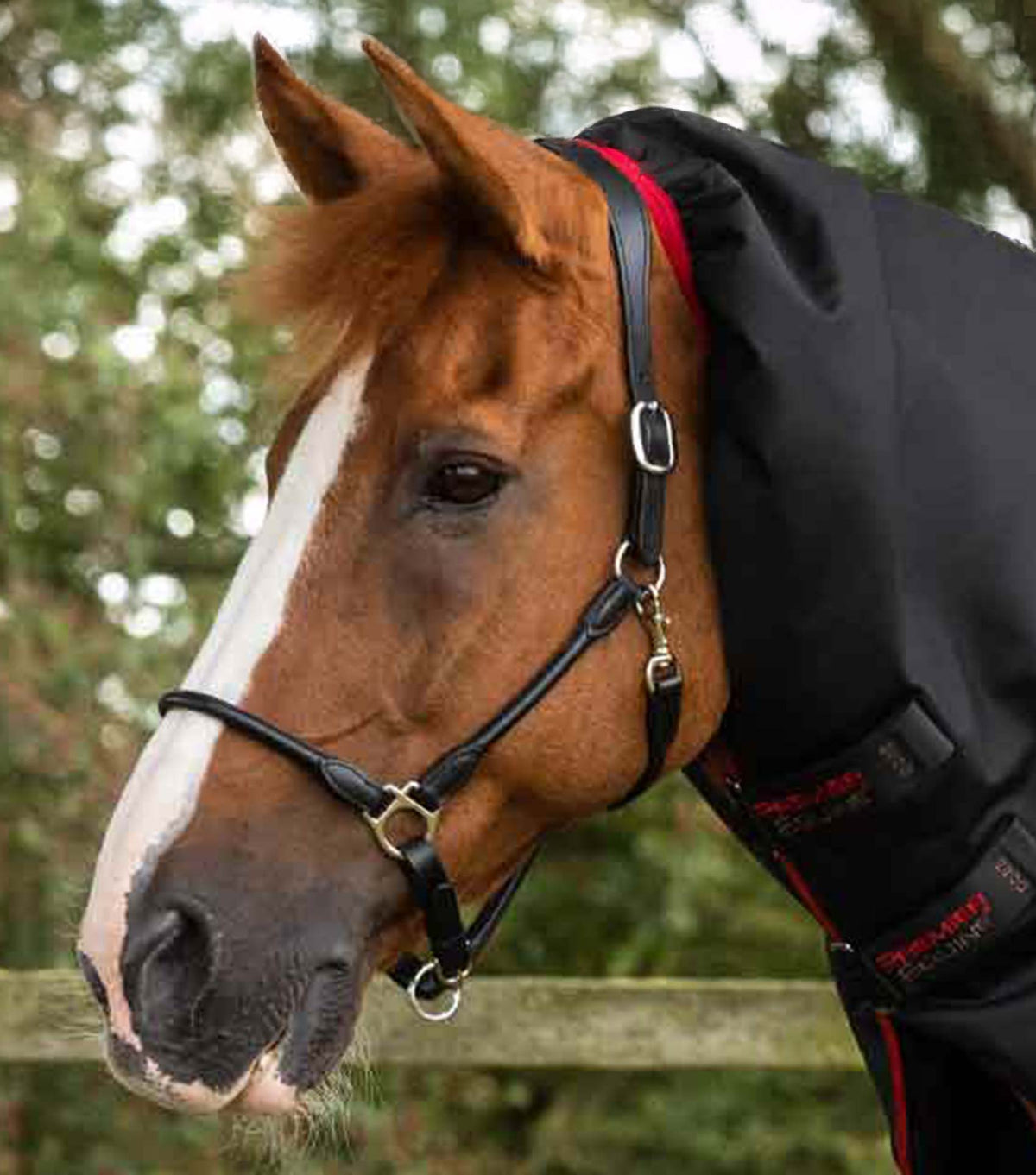 Titan 450g Turnout Rug with Snug-Fit Neck Cover