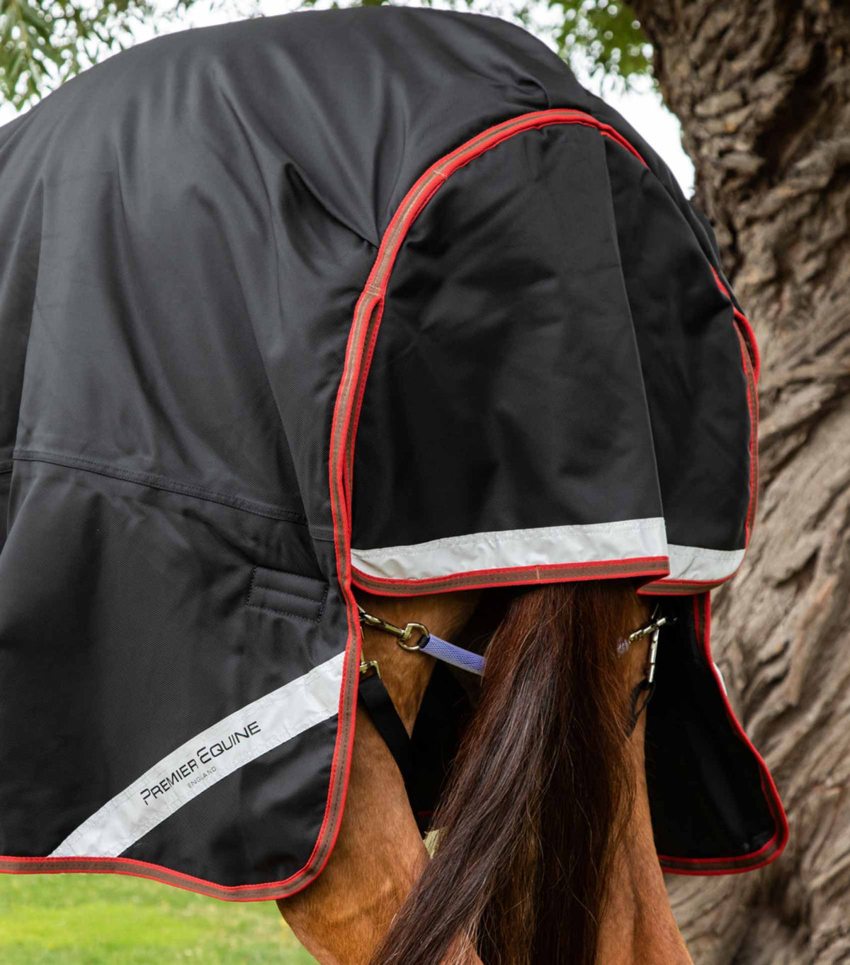 Titan 450g Turnout Rug with Snug-Fit Neck Cover