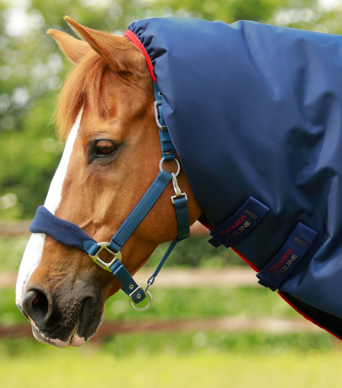Titan 450g Turnout Rug with Snug-Fit Neck Cover