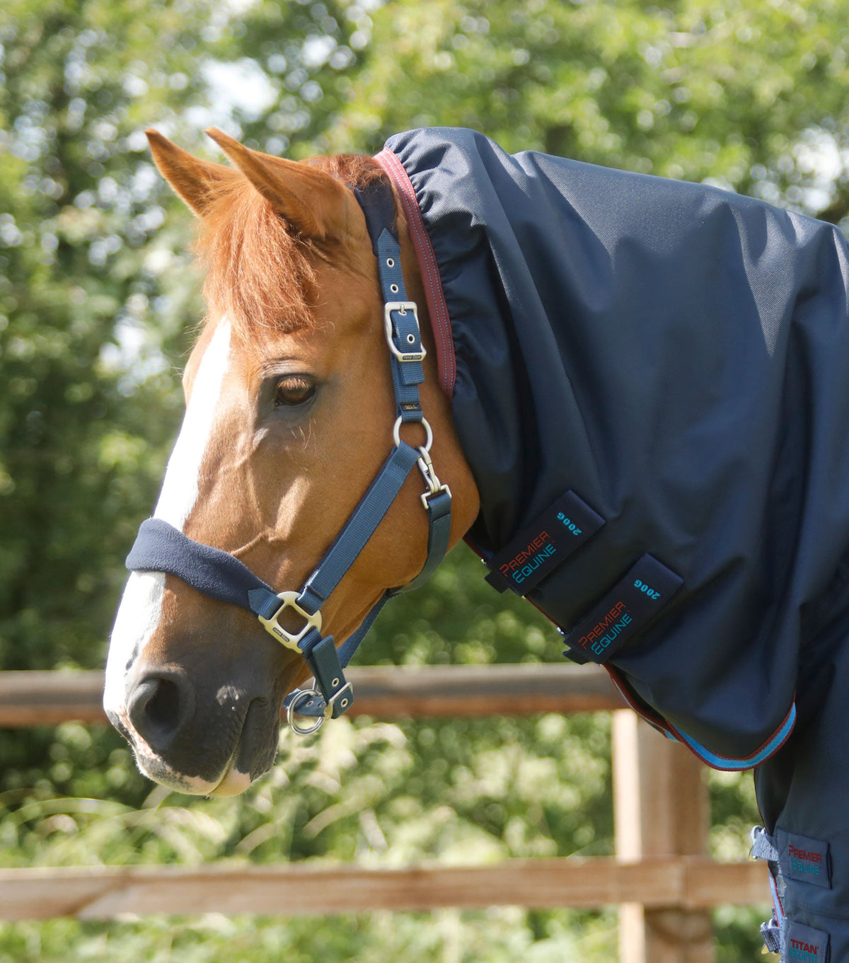 Titan Storm 200g Combo Turnout Rug with Snug-Fit Neck